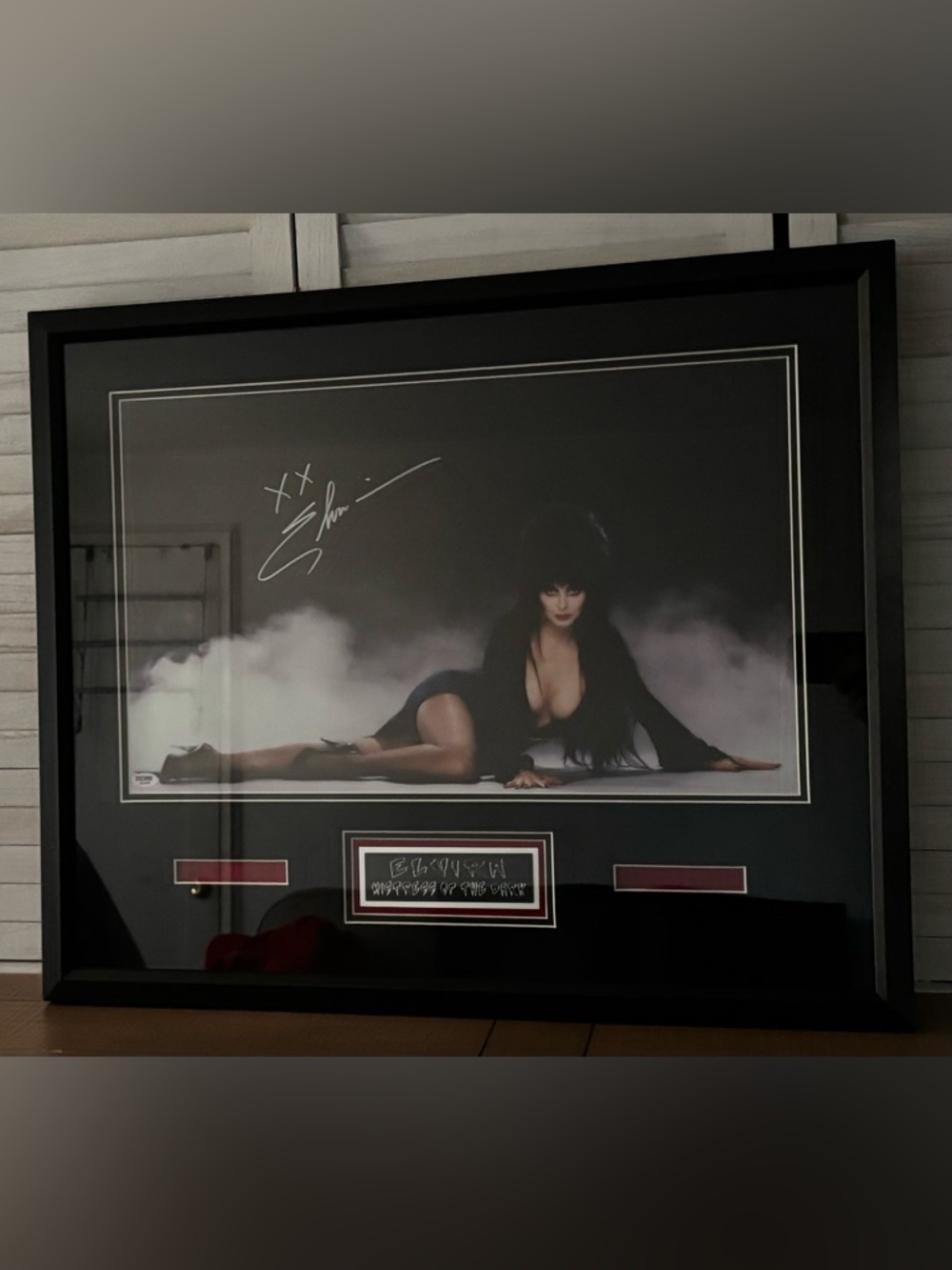 Elvira Mistress of the Dark Signed Photo PSA/DNA Authenticated Custom Framed